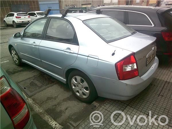 Cerato Cerato  585002F600