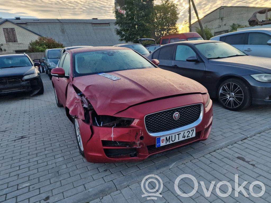XE XE  0281006777
