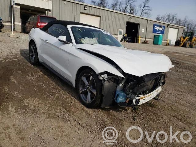 Mustang VI Mustang  500360333
