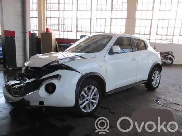 Juke I F15 Juke  484301KA5A