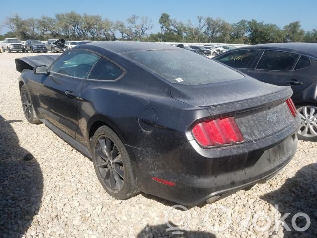 Mustang VI Mustang  FR3C2C219BE