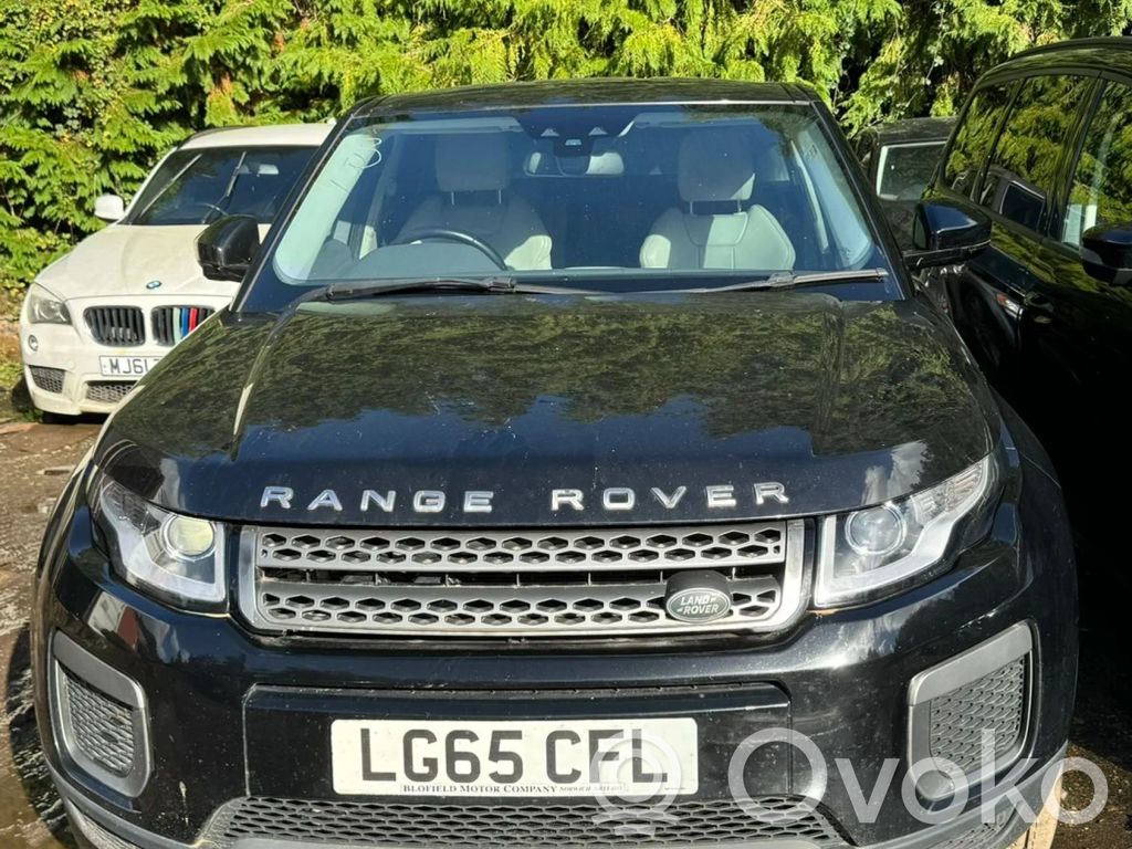 Evoque I Evoque  BJ3214K147CC