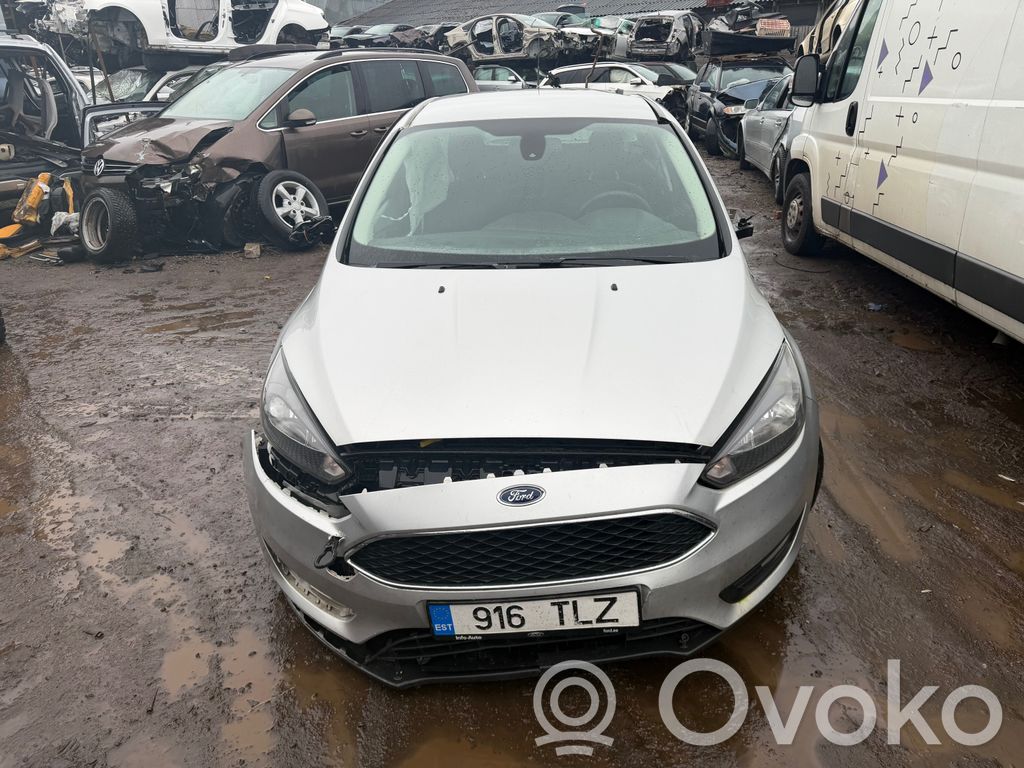 Focus Focus  10103842