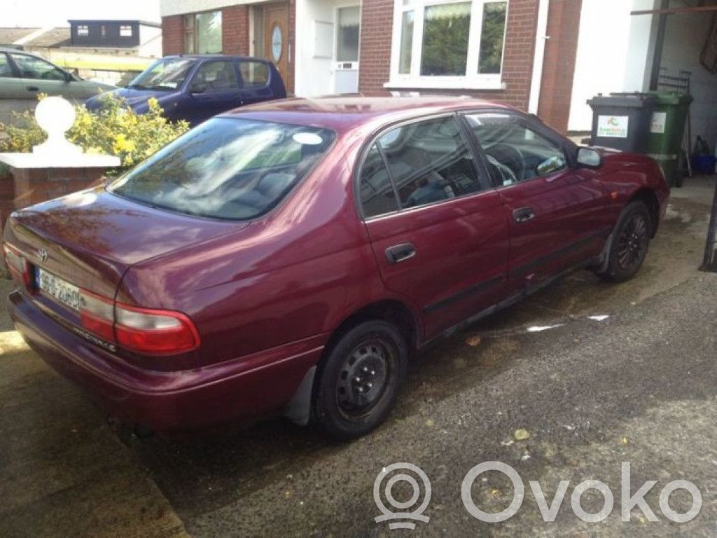 Carina T190 Carina  6895080019