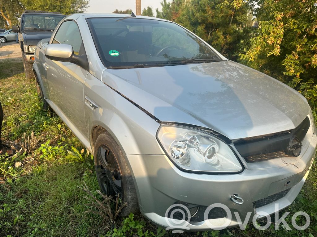 Tigra B Tigra