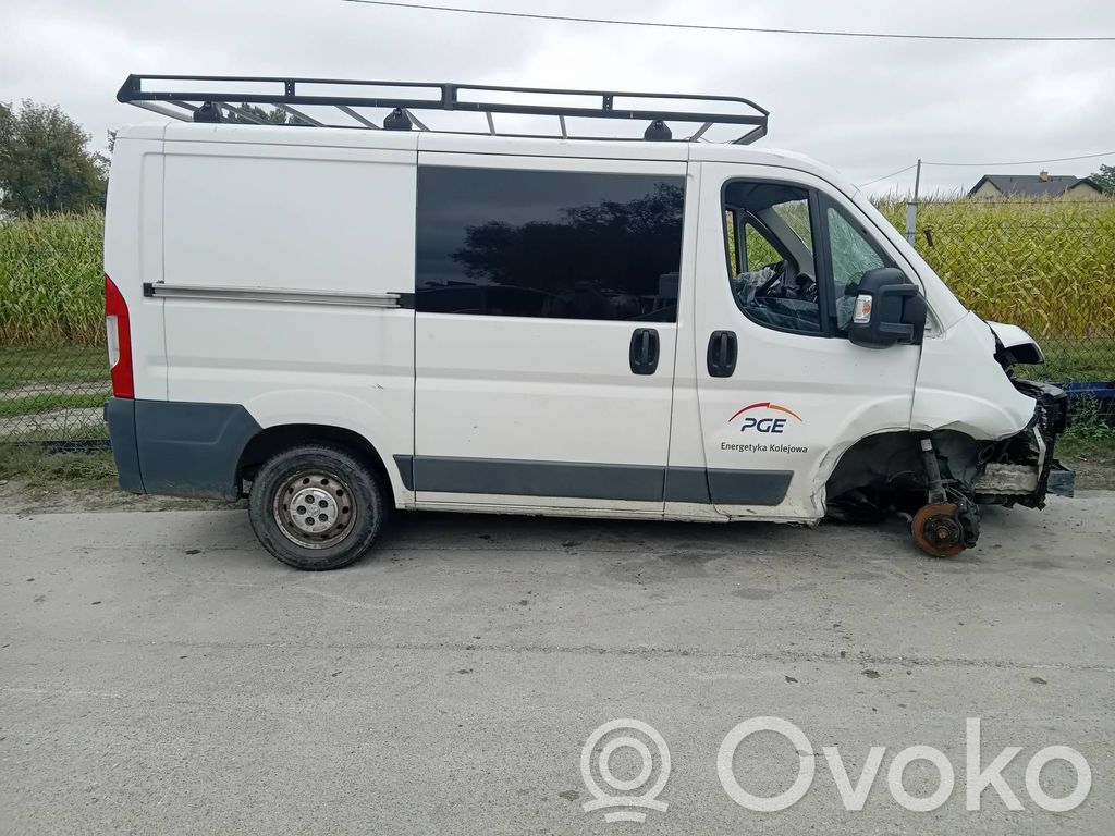 Boxer Boxer  EWP249