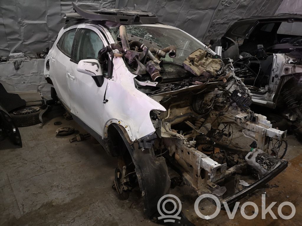 Mokka Mokka  42403008