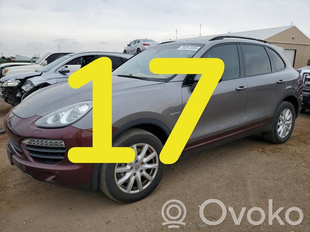 Cayenne (92A) Cayenne  CGFA