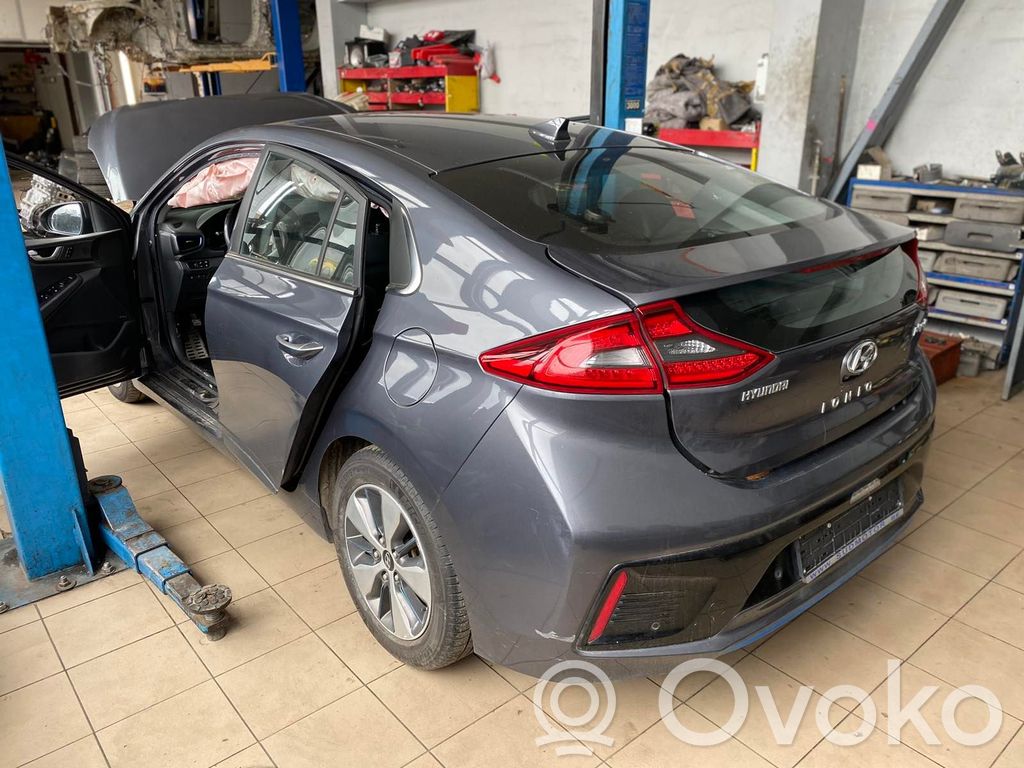 Ioniq Ioniq  79110G2000