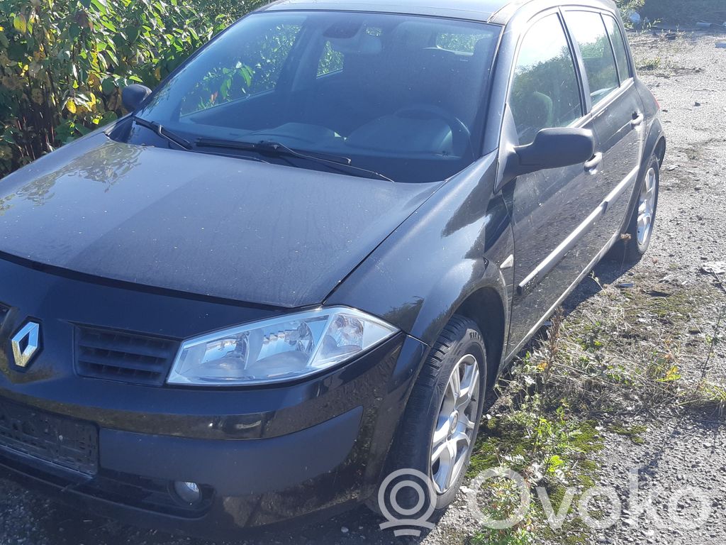 Megane II Megane  8200115543