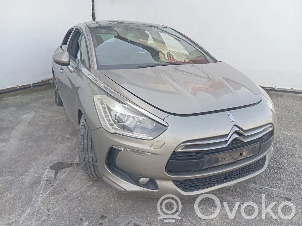 DS5 DS5