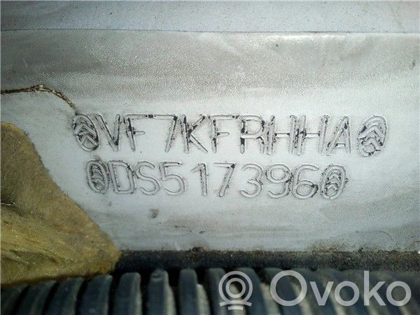 DS5 DS5  9802390877