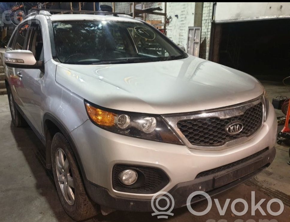 Sorento Sorento  954302P450