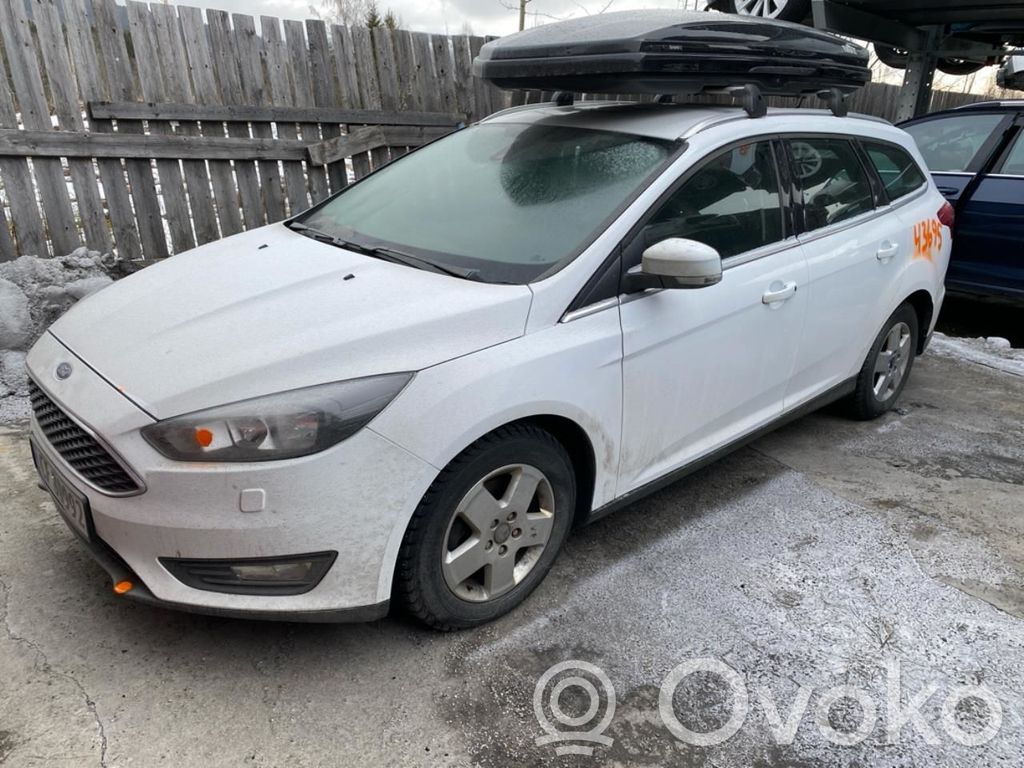 Focus Focus  1852919