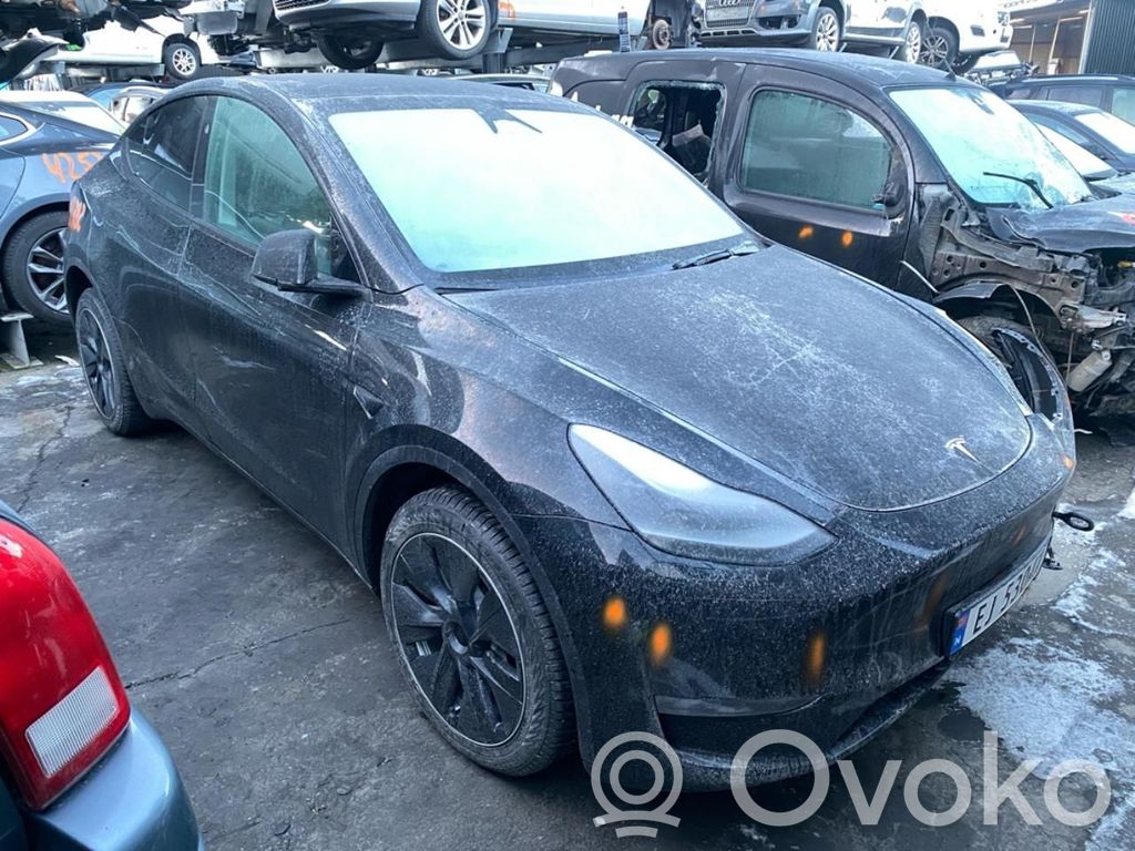 Model Y Tesla Model Y  1663000DEA