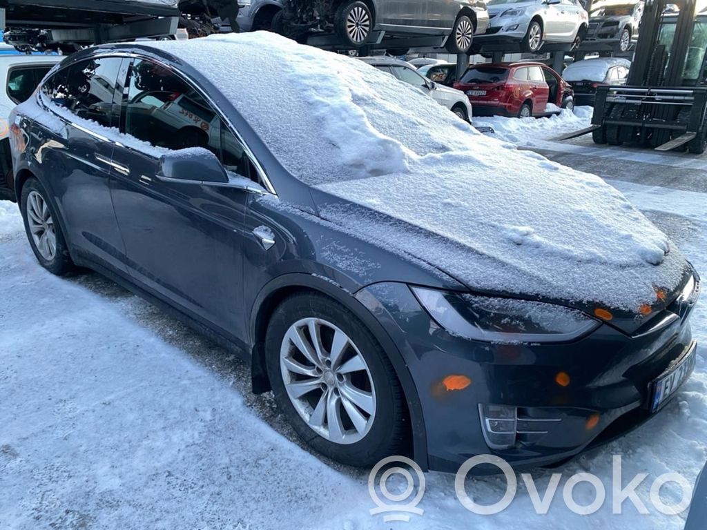 Model X Tesla Model X  102133300D