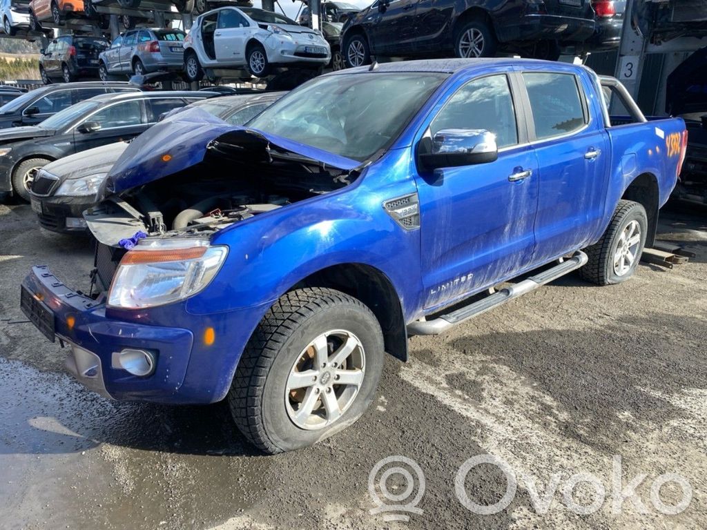 Ranger Ranger  1917904