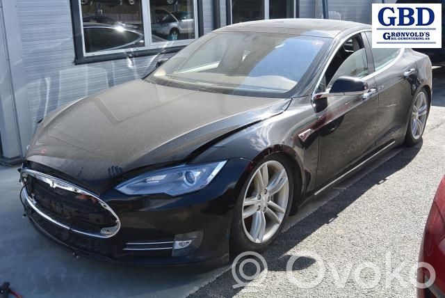 Model S Tesla Model S  101878100B