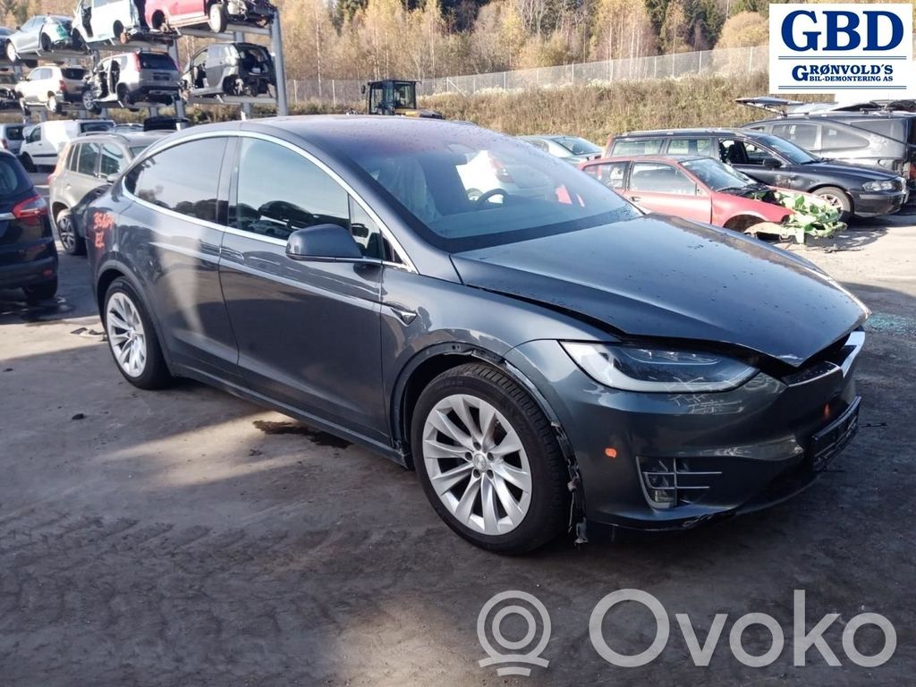 Model X Tesla Model X  106910400B