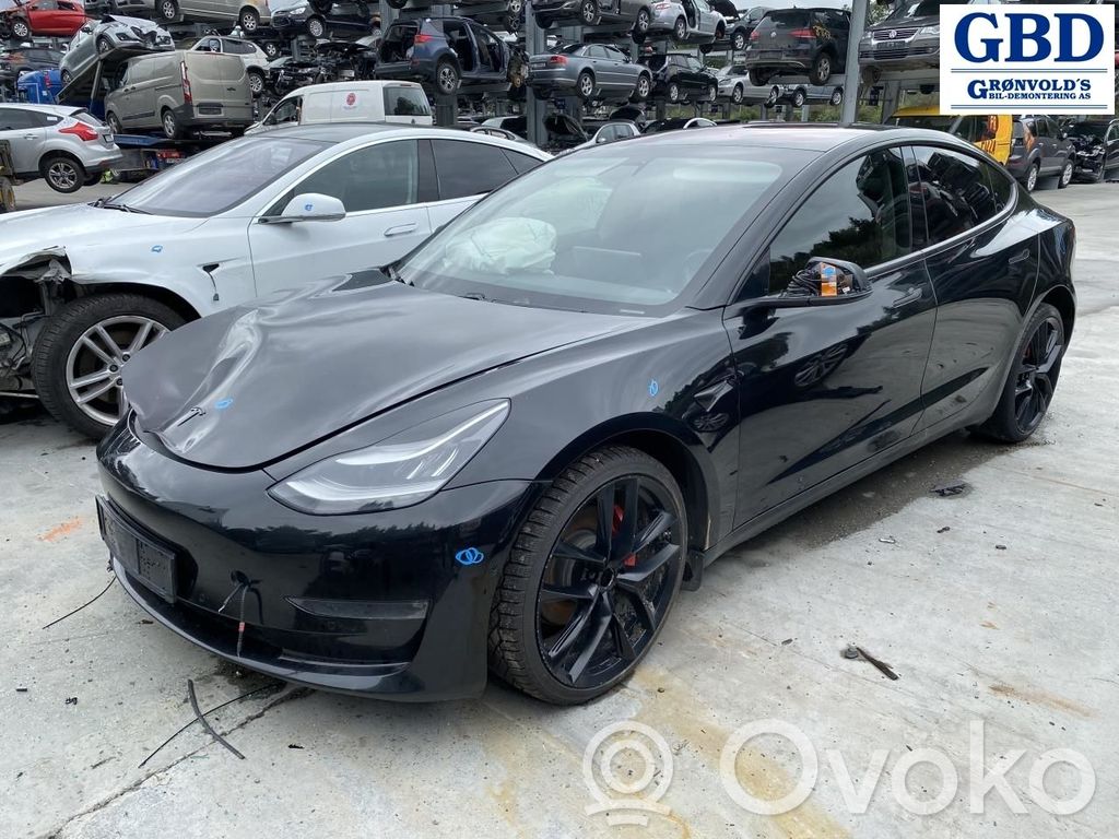 Model 3 Tesla Model 3  110900410G