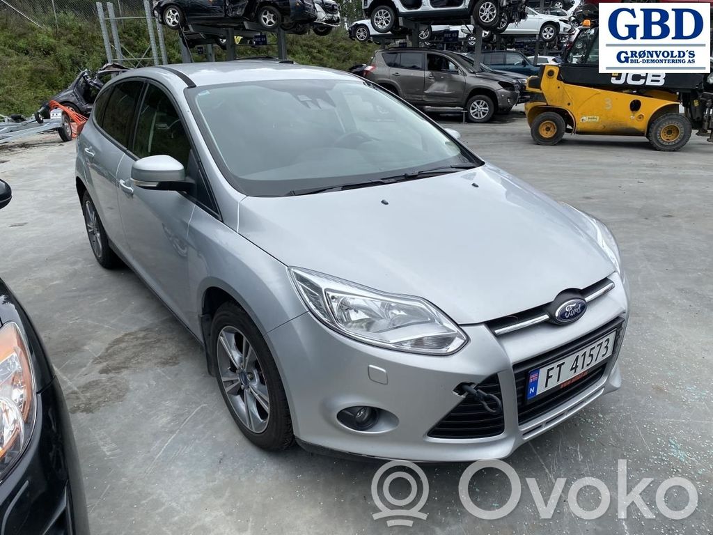 Focus Focus  1839761