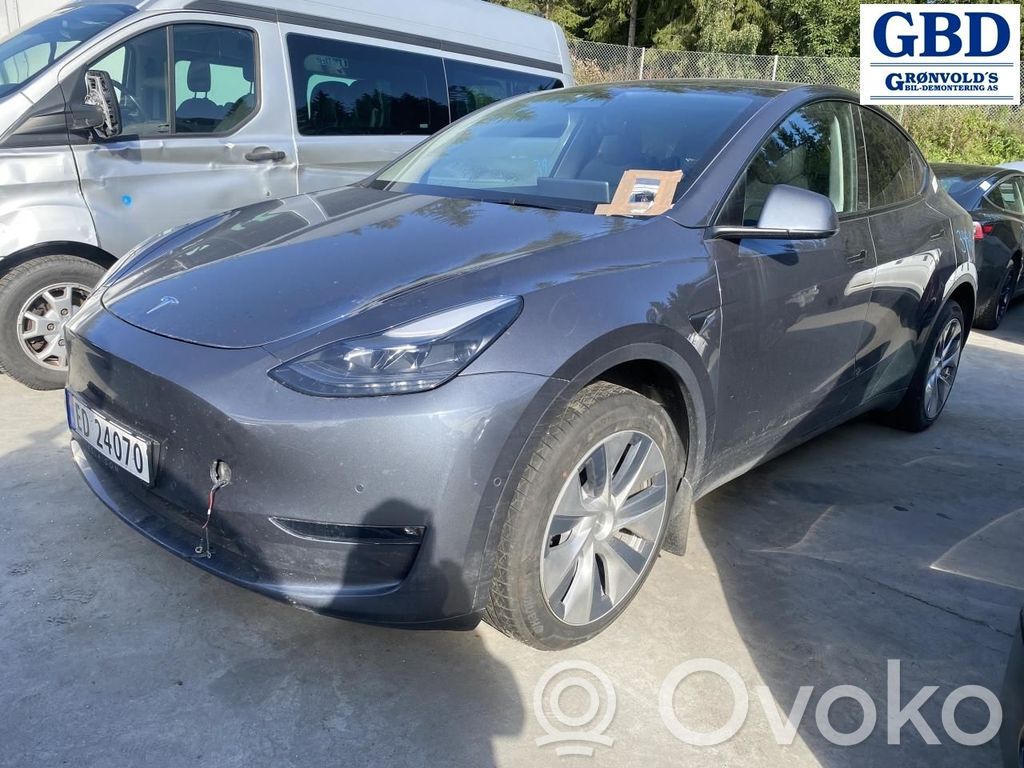 Model Y Tesla Model Y  252500201D