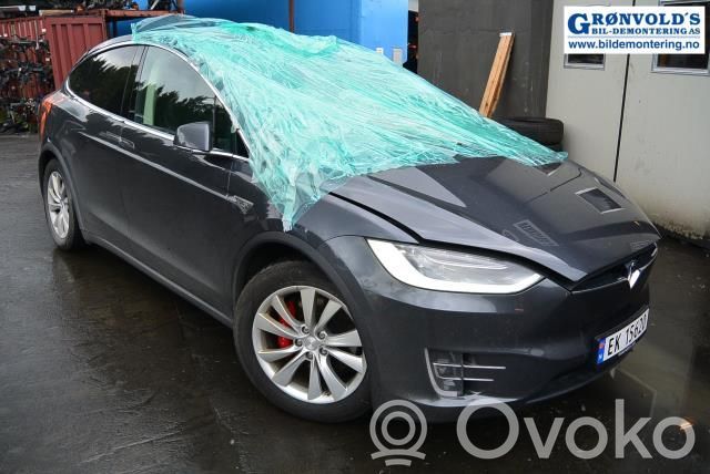 Model X Tesla Model X  103676700A