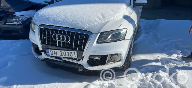 Q5 SQ5 8R Q5, SQ5  8K0905217A