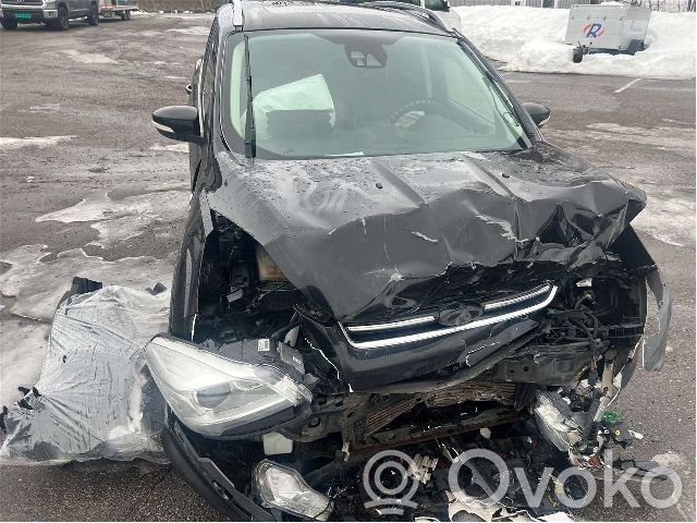 Kuga II Kuga  1895598