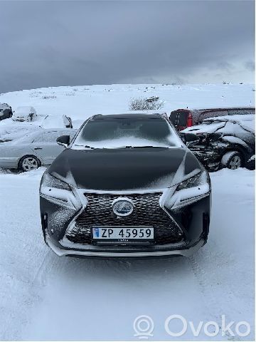 NX NX  1900036430