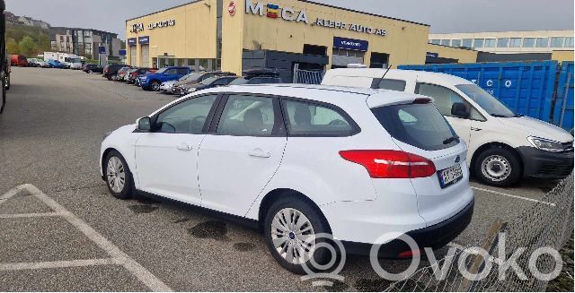 Focus Focus  2197568