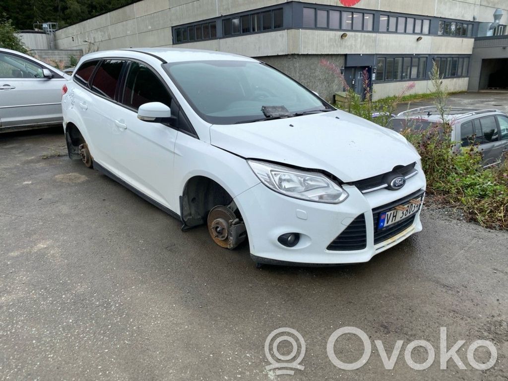 Focus Focus  1873929