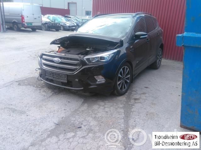 Kuga II Kuga  1873488