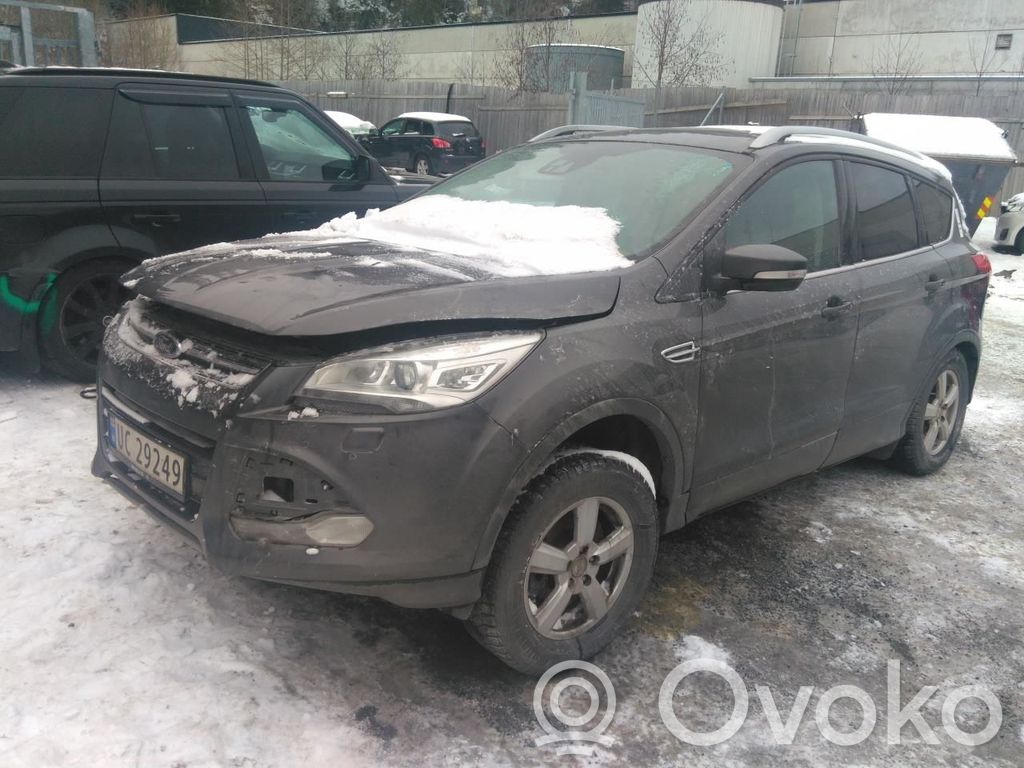 Kuga II Kuga  1870892