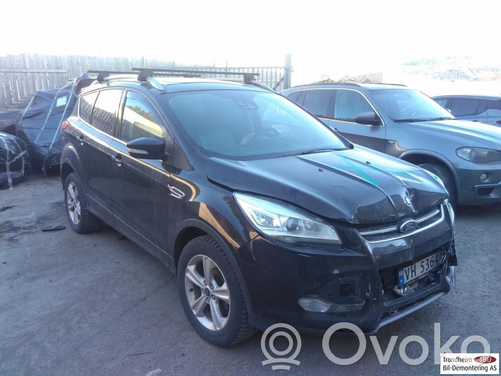 Kuga II Kuga  1864631