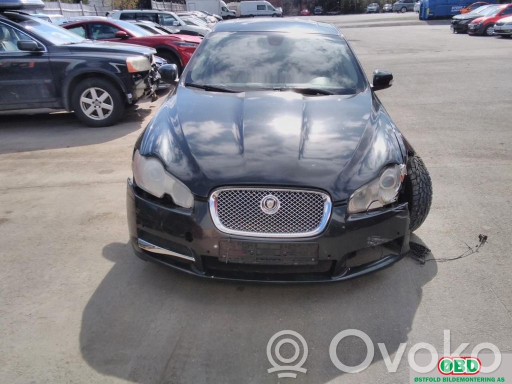 XF X250 XF  C2P14452