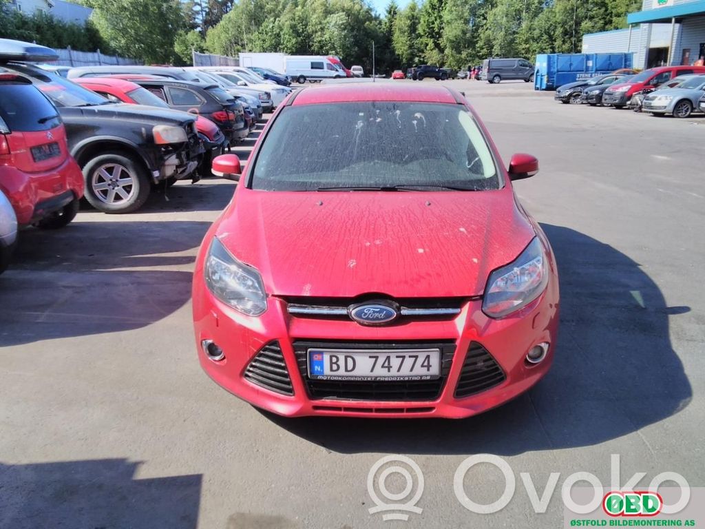 Focus Focus  1765991