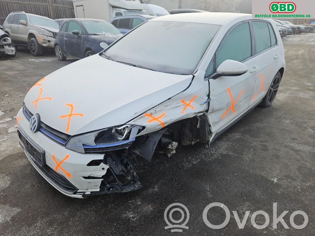 e-Golf Golf  5GE853651F