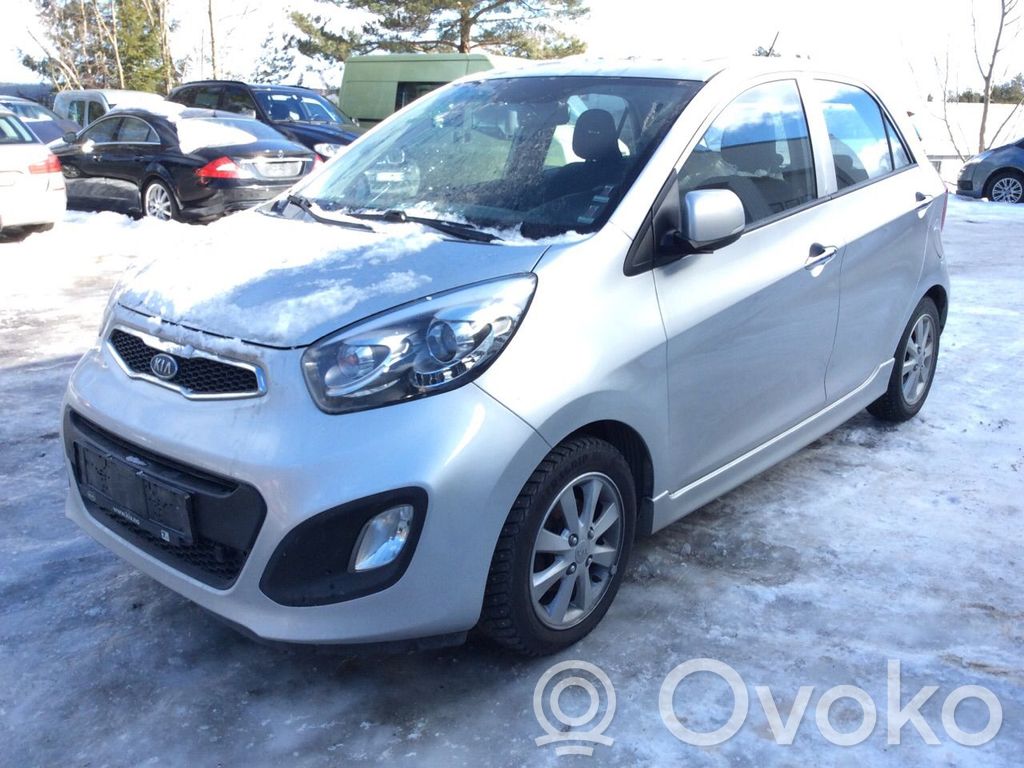 Picanto Picanto  4500002560