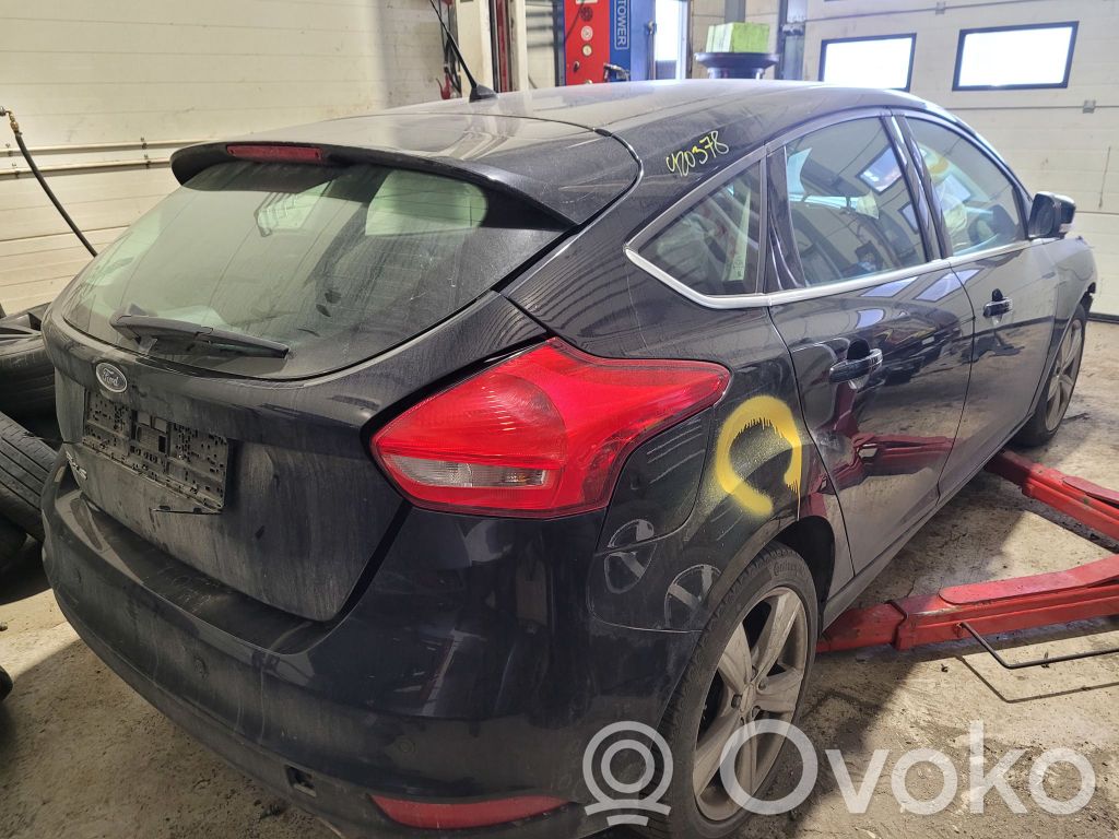 Focus Focus  2431351