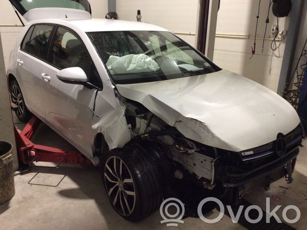 e-Golf Golf  5G0419091BG