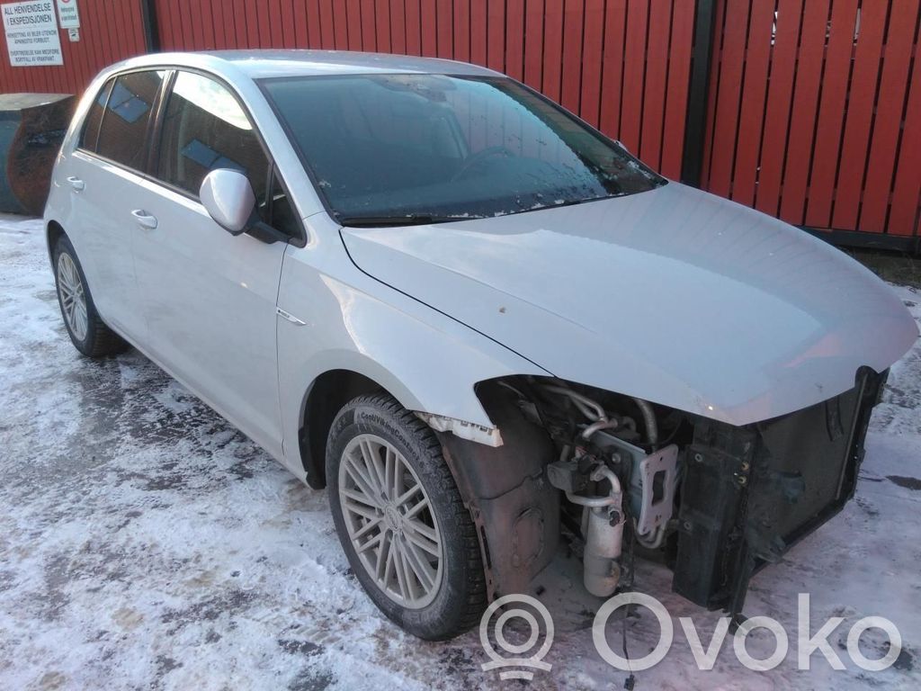 e-Golf Golf  5QE971449A