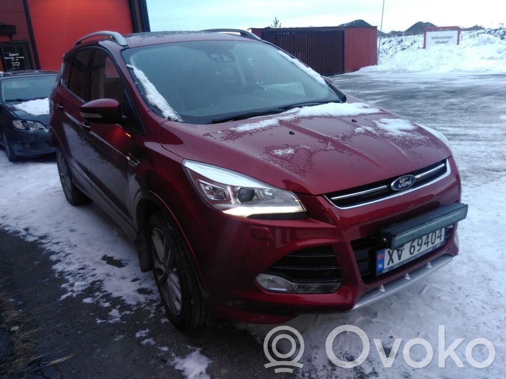 Kuga II Kuga