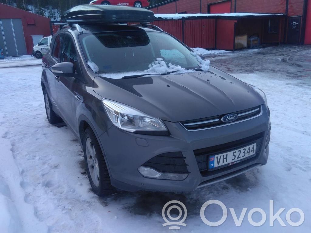 Kuga II Kuga