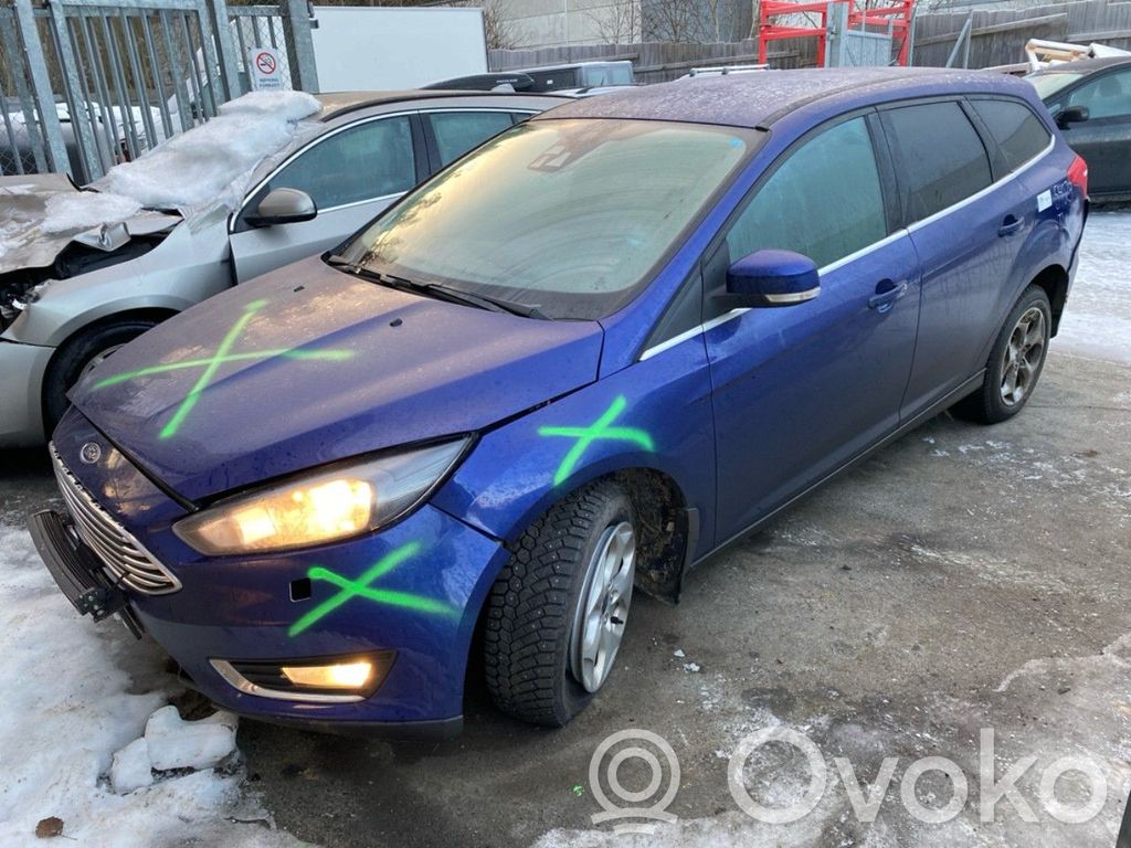 Focus Focus  2028442