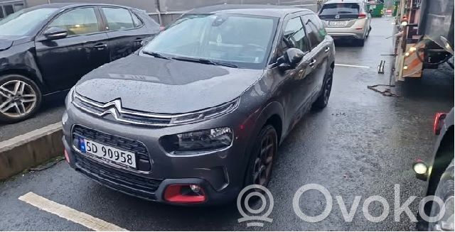 C4 Cactus C4 Picasso, Grand Picasso, Aircross, Cactus  1635670880
