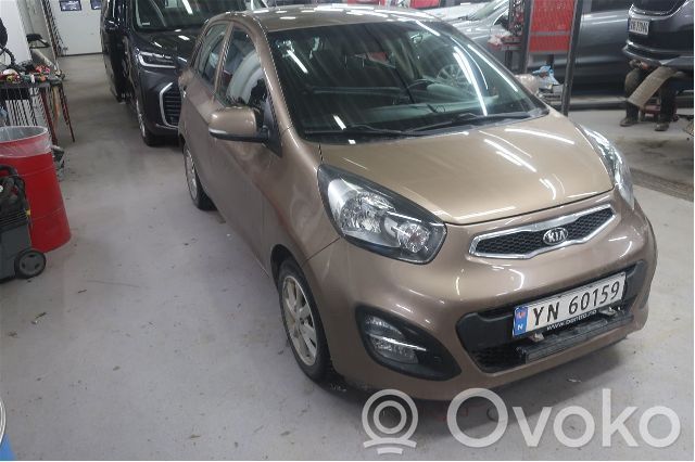 Picanto Picanto  3911103686