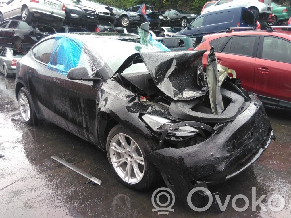 Model Y Tesla Model Y  252500101D