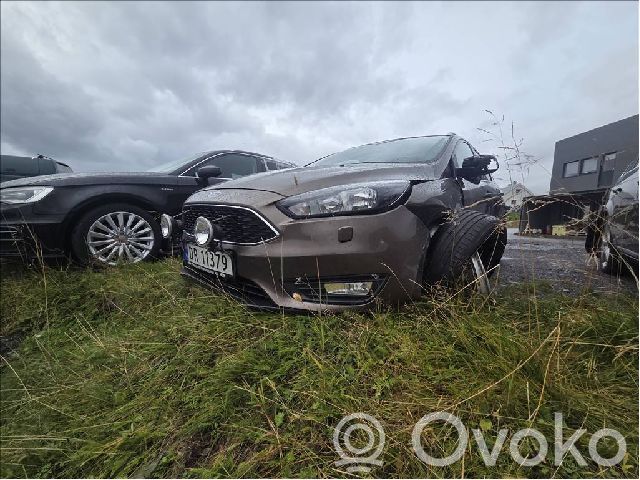 Focus Focus  2014558