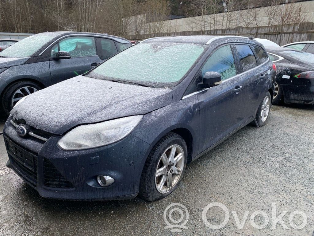 Focus Focus  1719342